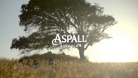 Aspall for Theodore Music